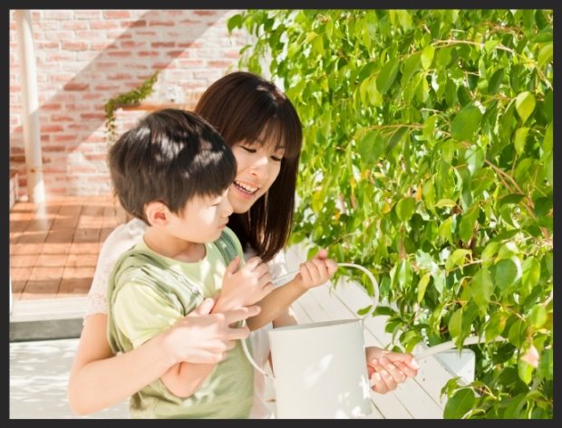 Eco Dentistry Association Tips for a Greener Mothers Day